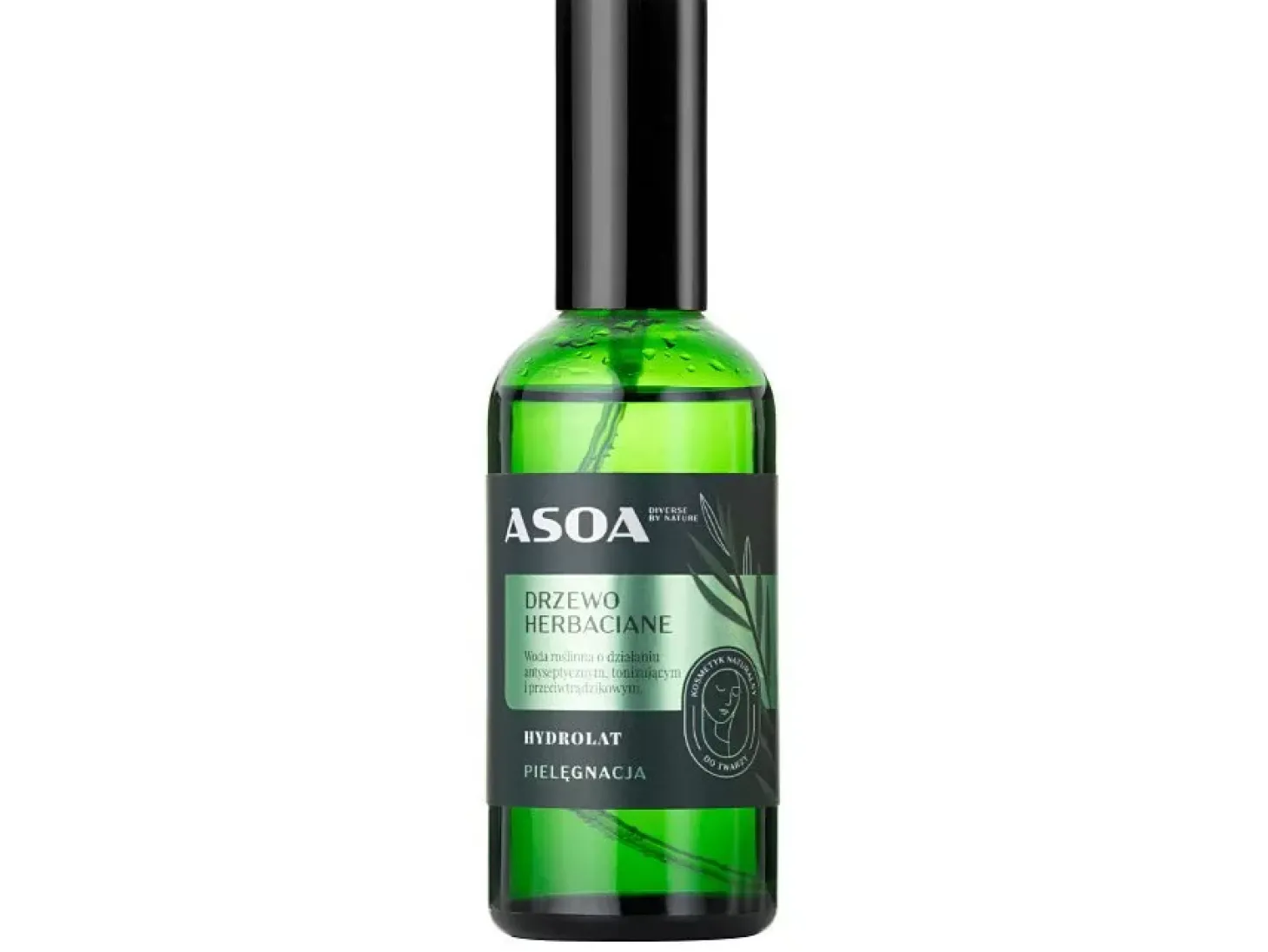 Asoa - Hydrolat z Drzewa Herbacianego - 100ml